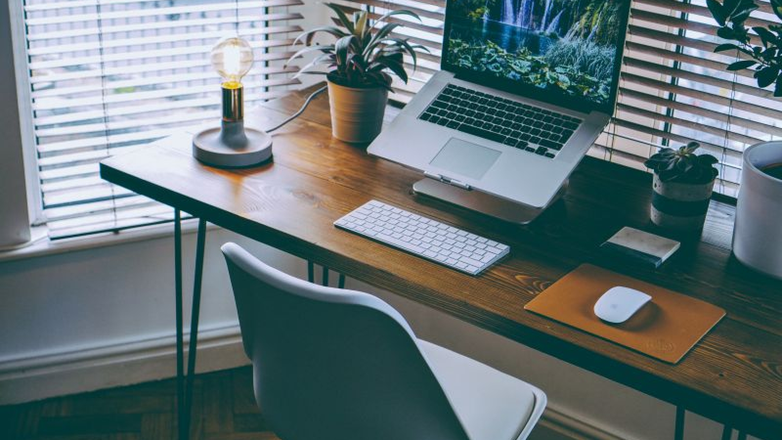 Boas práticas para gerir seu time home office